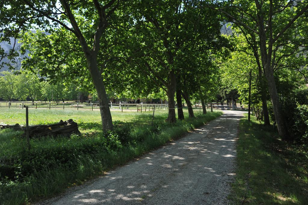 ホテルDomaine De Castel Fizel Caudies-de-Fenouilledes エクステリア 写真